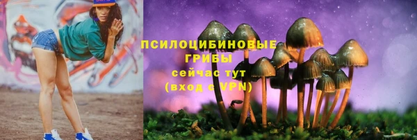 СК Абдулино
