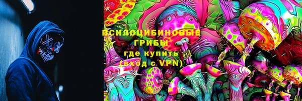 а пвп мука Абаза