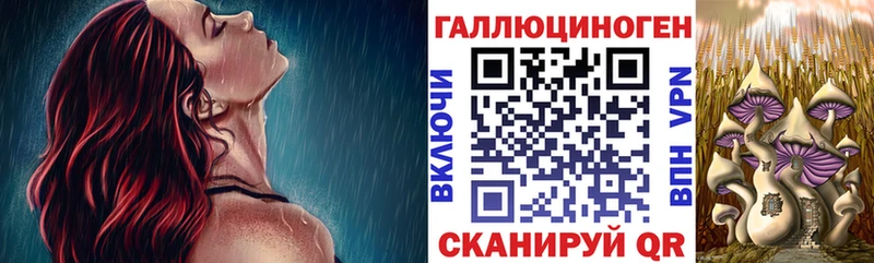 Галлюциногенные грибы Magic Shrooms  Тюмень 